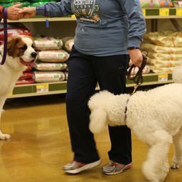 photograph by PeterW